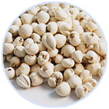 Z6�������й��ٷ���վ